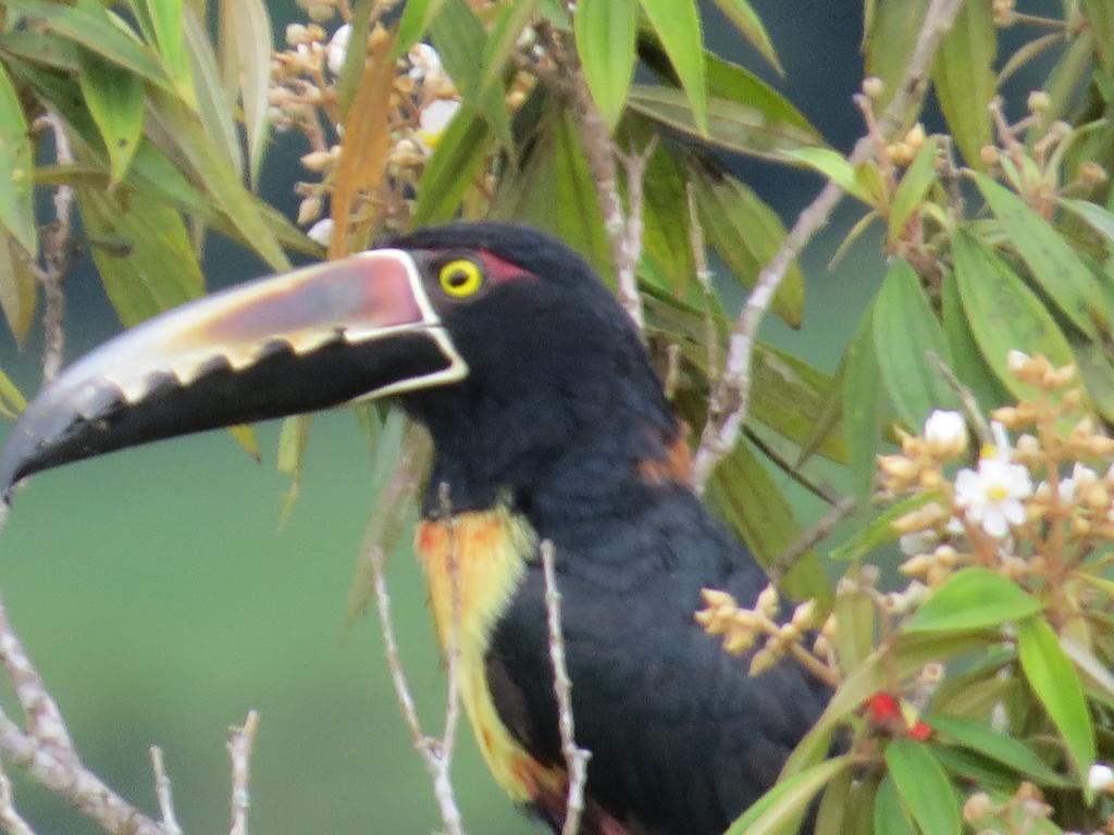 Rinconcito Verde Ujarrás エクステリア 写真